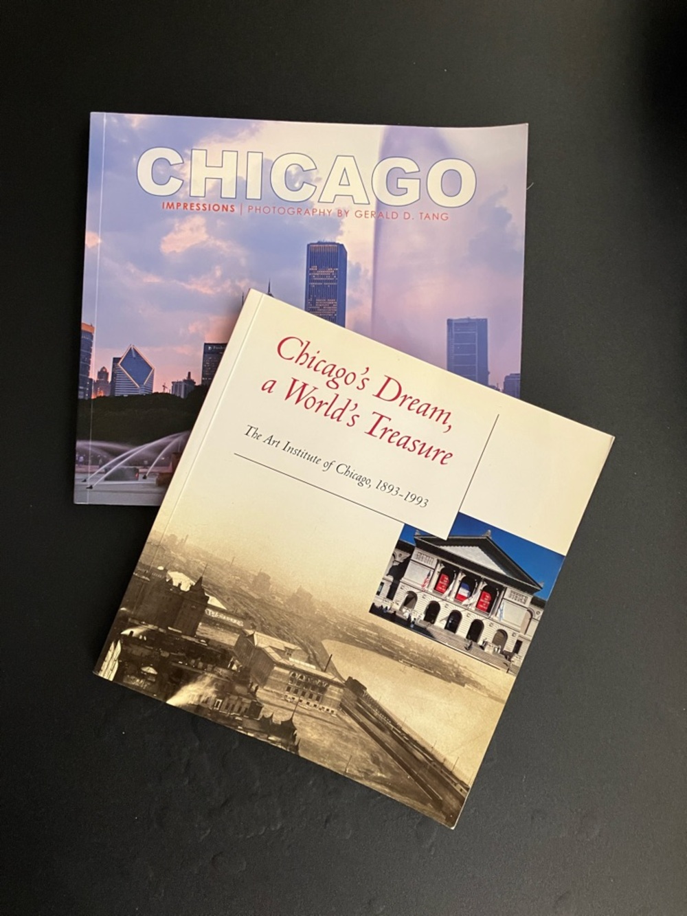 Chicago Art & Photography Bundle 2 Paperback Books City History Memorabilia